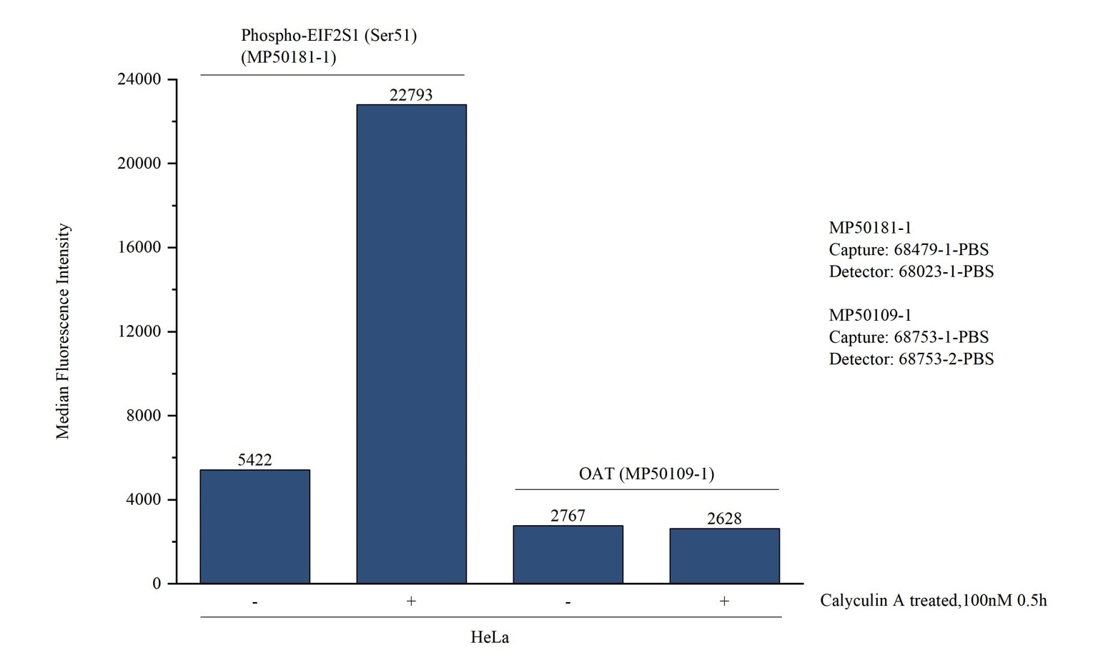 Cytometric bead array in cell lysate using MP50181-1